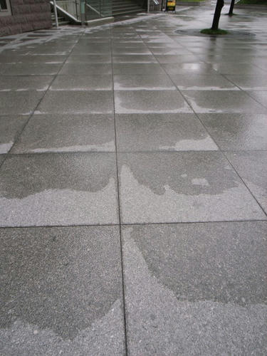 雨に濡れる