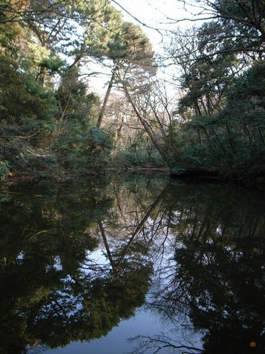 水鏡
