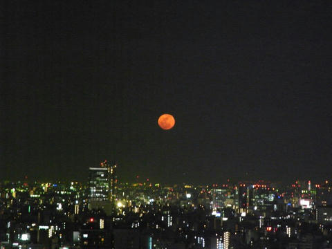 満月の夜