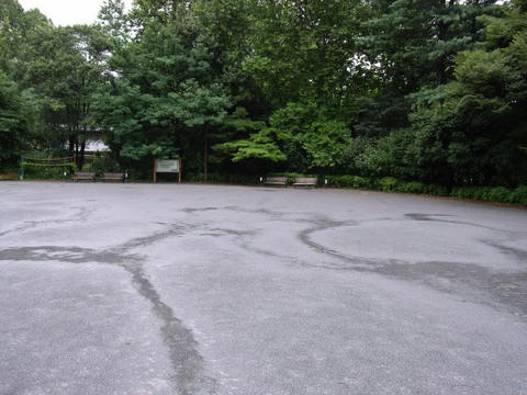 自転車