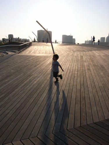 夕陽の中を走る