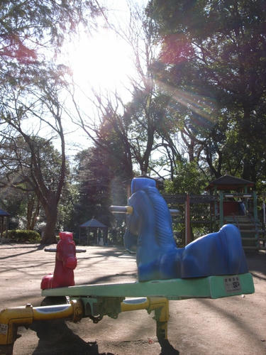 朝日の中で