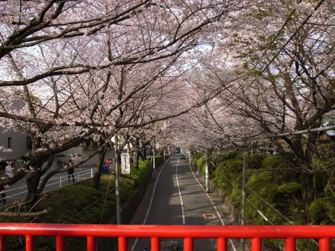 桜坂