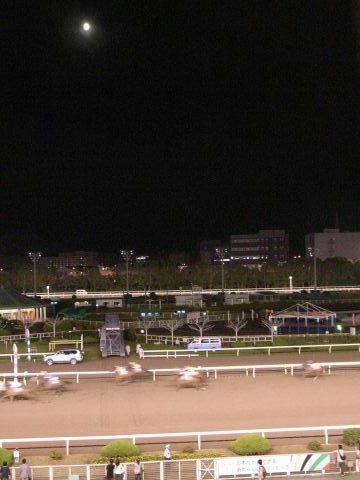 月と競馬