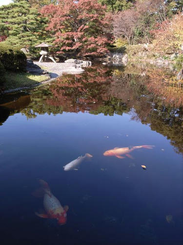 池の世界