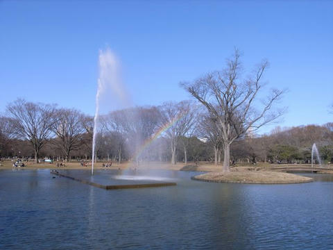 噴水の虹
