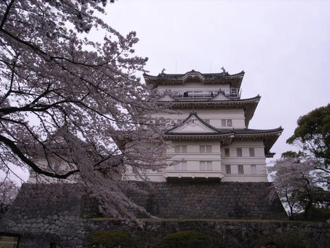 小田原城