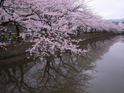 水面に映る