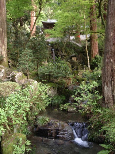 大雄山