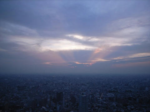 上へと伸びて