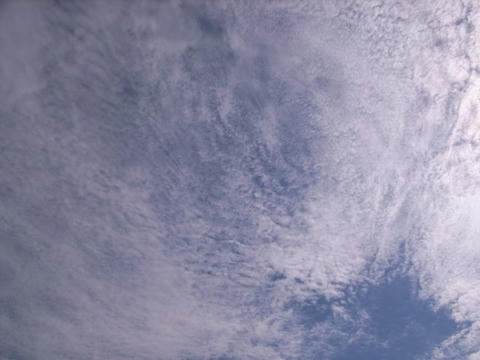 気がつけば秋の空
