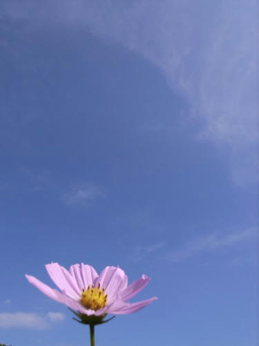 空の掃除