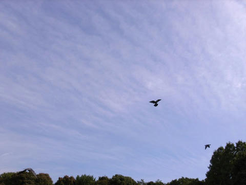 雲の波寄せて