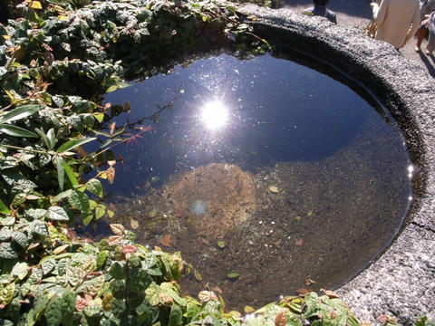 水に落ちて