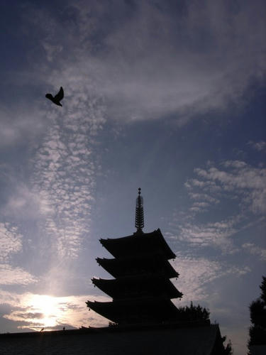夕暮れ五重塔