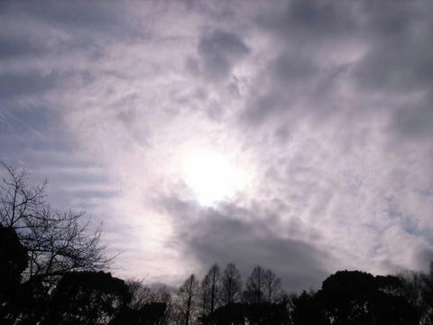 凍てつく空