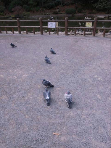 日向ぼっこ