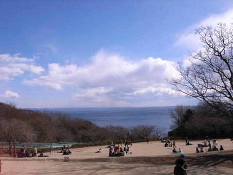 海を見つめて