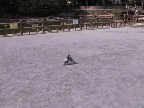 睦まじく
