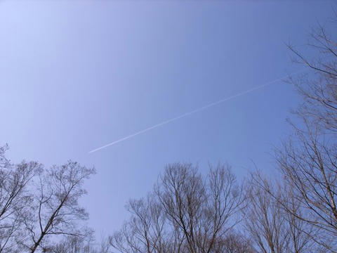 飛行機雲