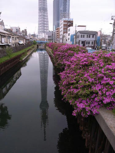 水中のスカイツリー
