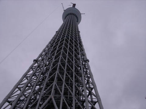 やっぱり大きい