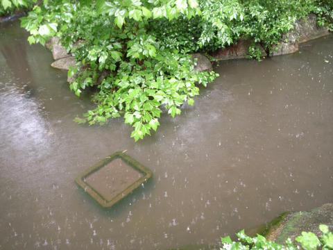 雨が降る