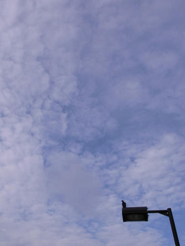 雲に秋色