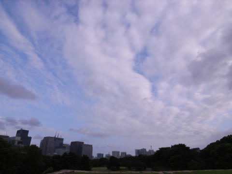 秋の空