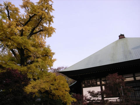 九品仏浄真寺