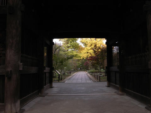 門の向こうに