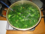 IMG_5231.JPG