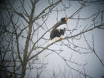 IMG_6871.JPG