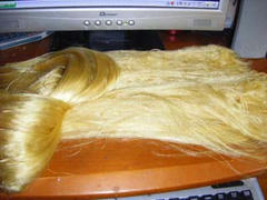 20080115190820.jpg