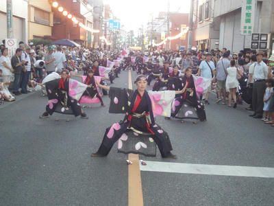 DSC00560.JPG