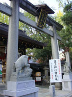 イノシシブギウギ神社