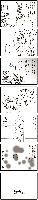 4044888.gif