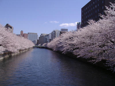 River_1.jpg