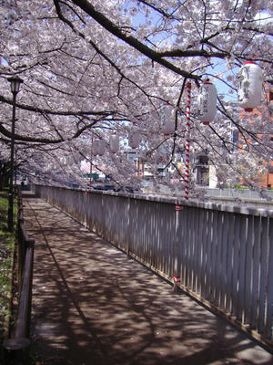 Sidewalk.jpg