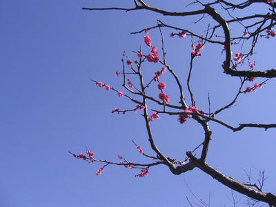 P2061152.JPG