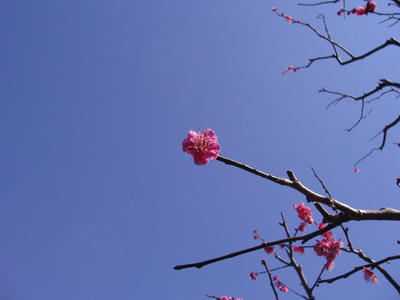 P2061153.JPG