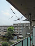HF_ANT_3.JPG