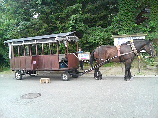 辻馬車