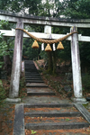 廃墟4
