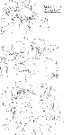 tekka.gif