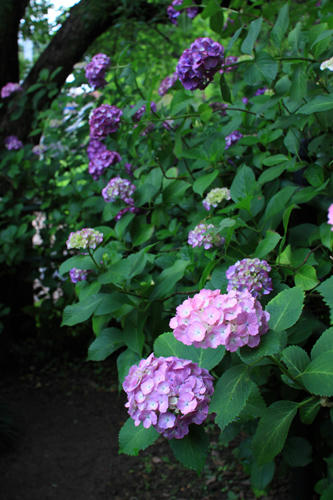 IMG_9044.jpg