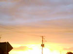 DSC00276.JPG