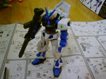DSC00278.JPG