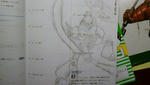 DSC00017.JPG