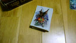 DSC00041.JPG